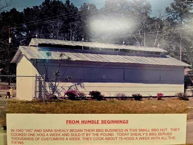 155 S East Ave, Leesville, SC 29070