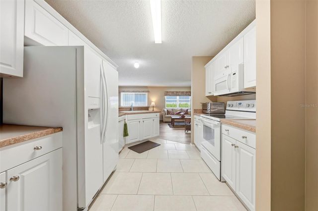 1607 NAVIDAD STREET, The Villages, FL 32162