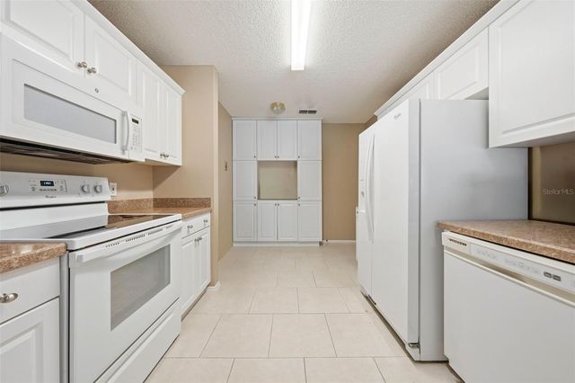 1607 NAVIDAD STREET, The Villages, FL 32162