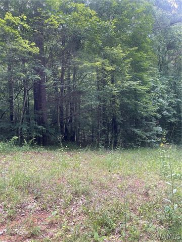 195 Riverview Beach, Moundville, AL 35474