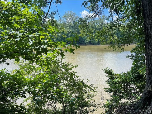 195 Riverview Beach, Moundville, AL 35474