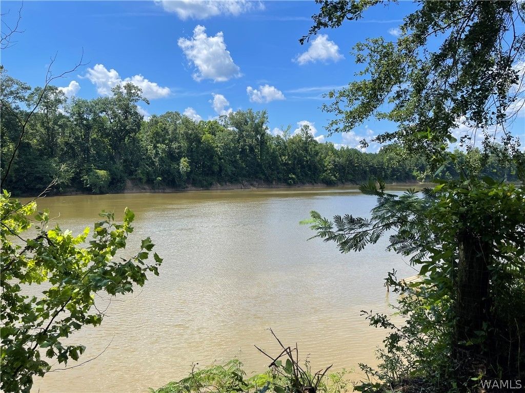 195 Riverview Beach, Moundville, AL 35474
