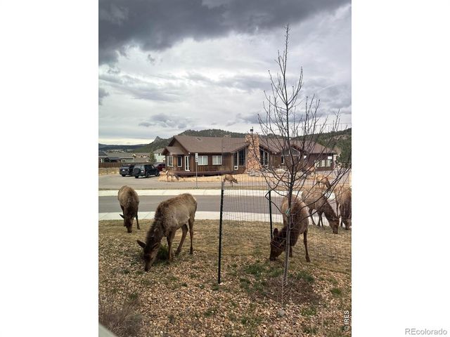 1728 Continental Peaks Circle, Estes Park, CO 80517