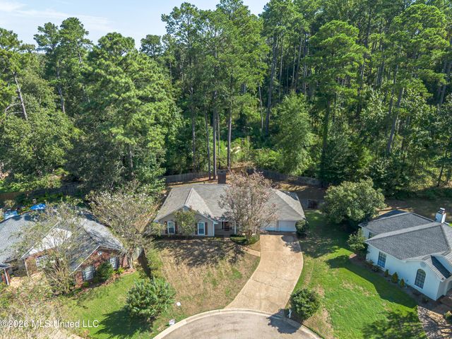 110 Carries Cove, Brandon, MS 39047