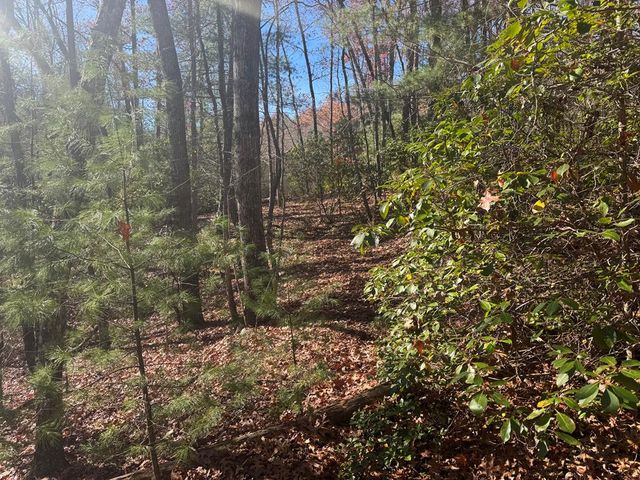 1982 Pinelog Church Road, Brasstown, NC 28902