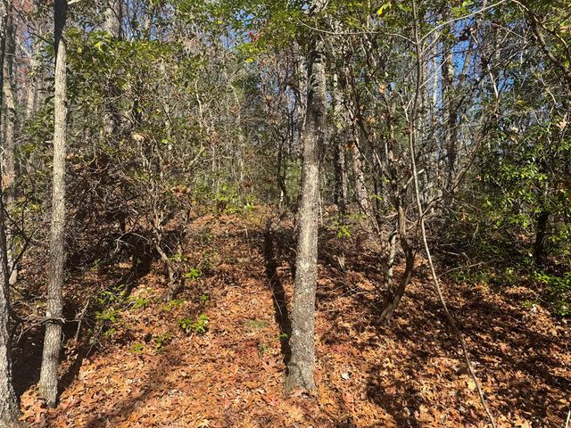 1982 Pinelog Church Road, Brasstown, NC 28902