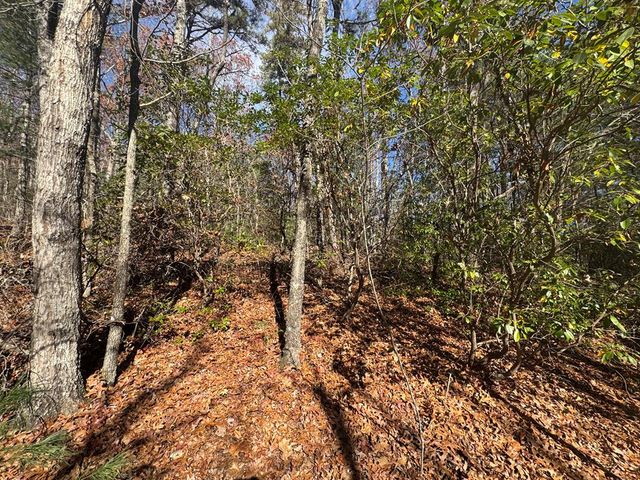 1982 Pinelog Church Road, Brasstown, NC 28902