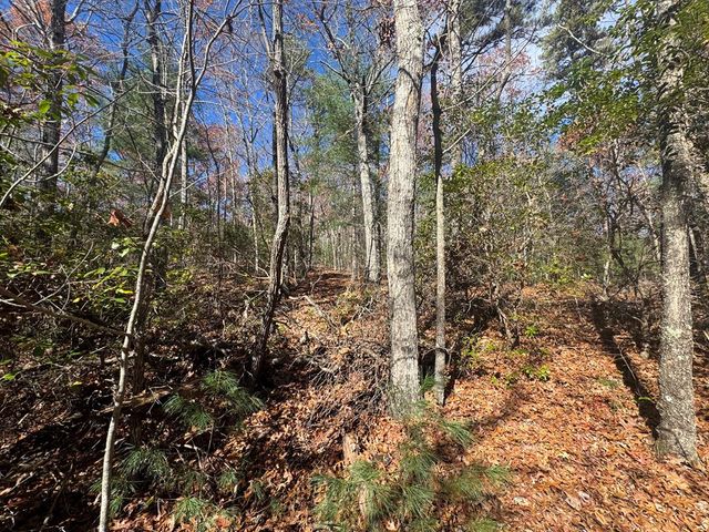 1982 Pinelog Church Road, Brasstown, NC 28902