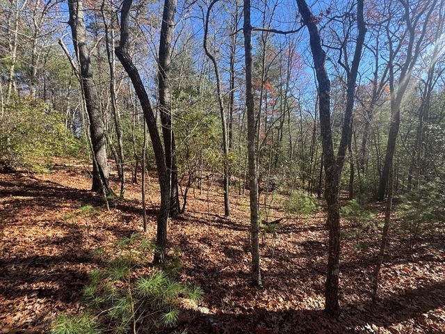 1982 Pinelog Church Road, Brasstown, NC 28902