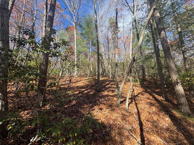 1982 Pinelog Church Road, Brasstown, NC 28902