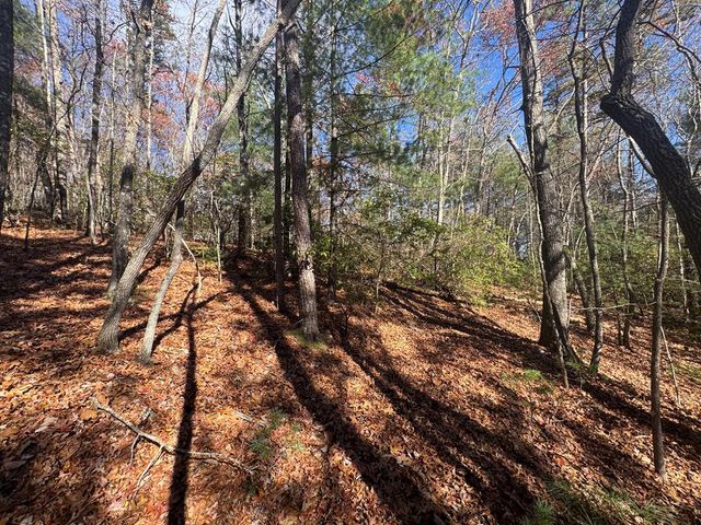 1982 Pinelog Church Road, Brasstown, NC 28902