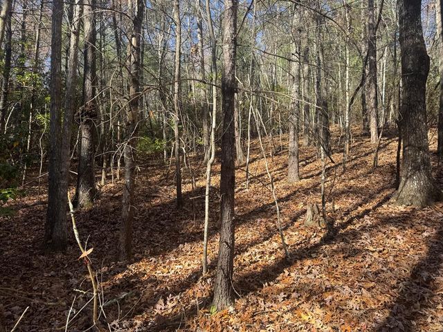 1982 Pinelog Church Road, Brasstown, NC 28902