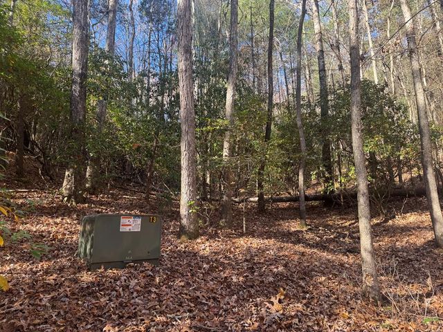 1982 Pinelog Church Road, Brasstown, NC 28902