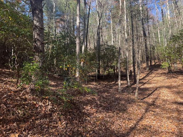 1982 Pinelog Church Road, Brasstown, NC 28902