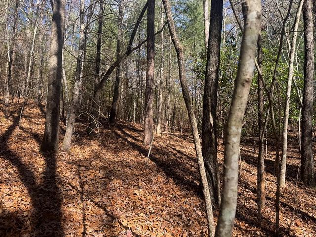 1982 Pinelog Church Road, Brasstown, NC 28902