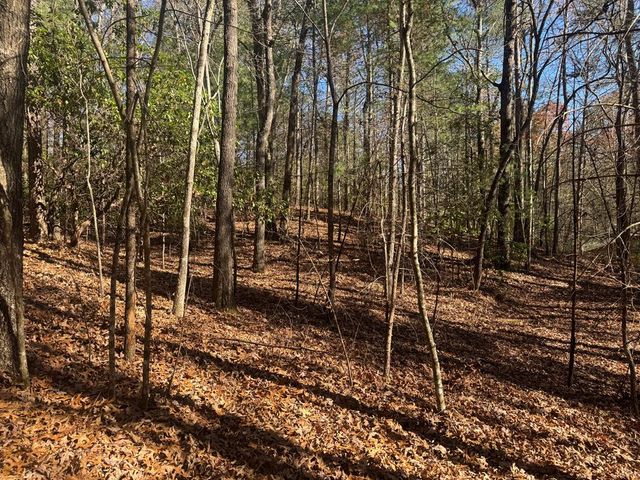 1982 Pinelog Church Road, Brasstown, NC 28902