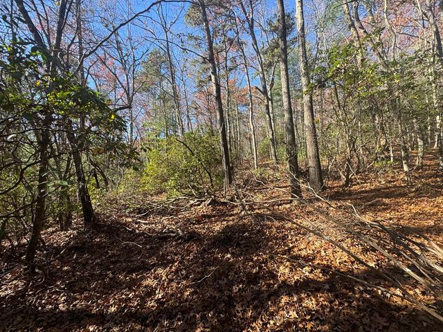 1982 Pinelog Church Road, Brasstown, NC 28902