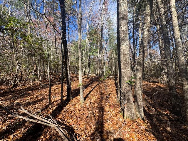 1982 Pinelog Church Road, Brasstown, NC 28902