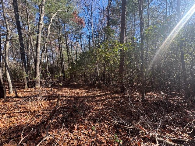 1982 Pinelog Church Road, Brasstown, NC 28902