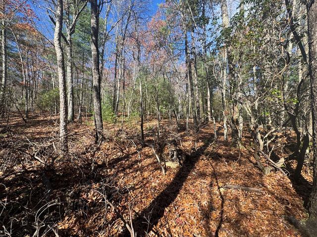 1982 Pinelog Church Road, Brasstown, NC 28902