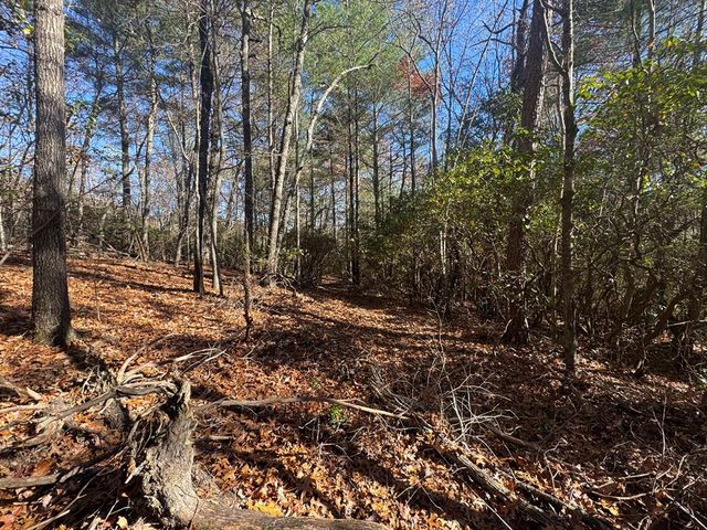 1982 Pinelog Church Road, Brasstown, NC 28902