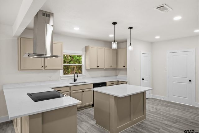 540 E Goshen St, Canton, TX 75103