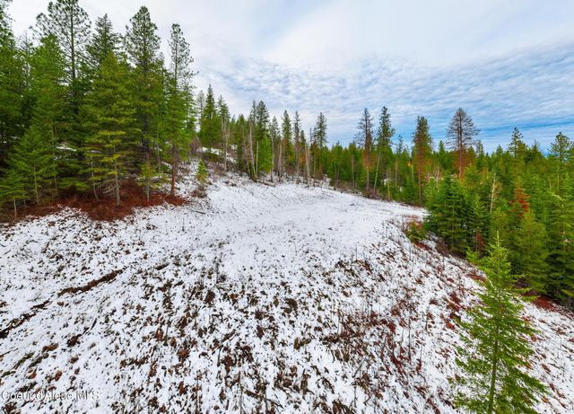 Lot 1 Amethyst Lane, Cocolalla, ID 83813