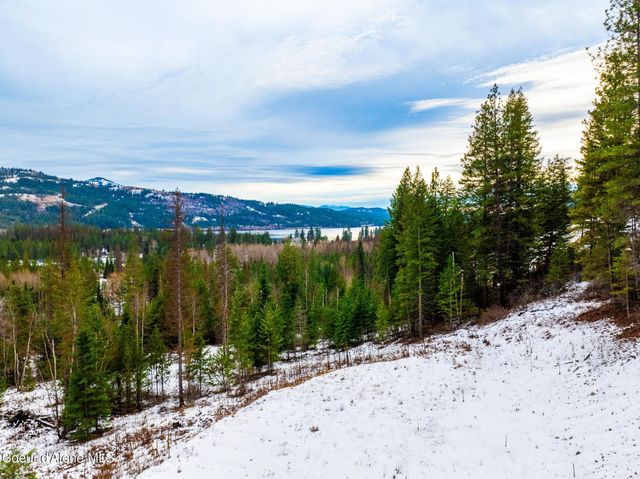 Lot 1 Amethyst Lane, Cocolalla, ID 83813