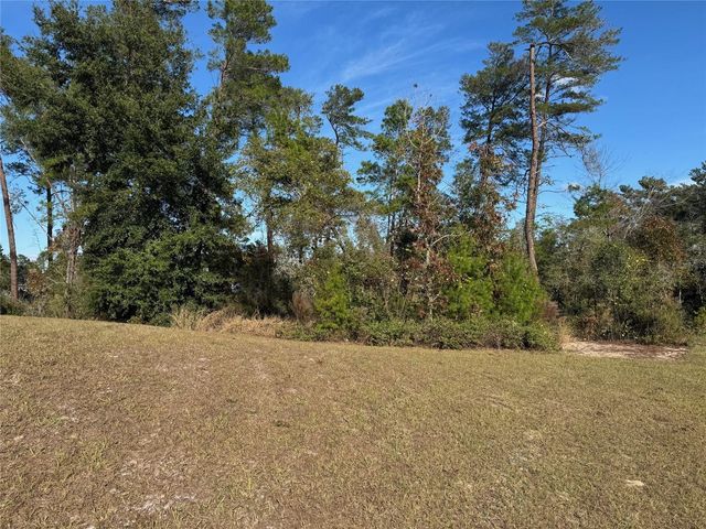 10645 SW 51ST AVENUE, Ocala, FL 34476