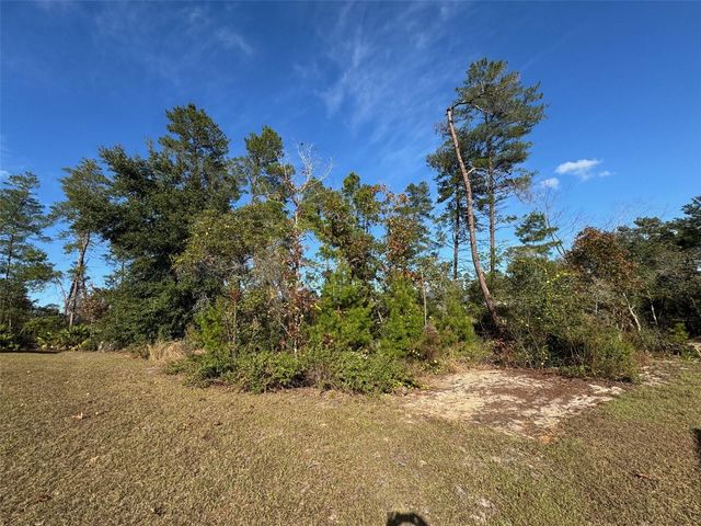 10645 SW 51ST AVENUE, Ocala, FL 34476