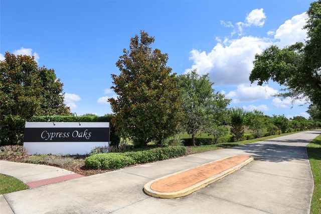 9175 CHANDLER DRIVE, Groveland, FL 34736