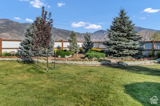 1103 N BROOKLYN RD, Monroe, UT 84754