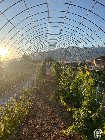 1103 N BROOKLYN RD, Monroe, UT 84754