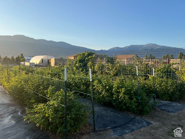 1103 N BROOKLYN RD, Monroe, UT 84754