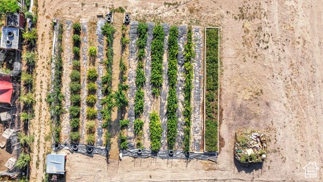 1103 N BROOKLYN RD, Monroe, UT 84754