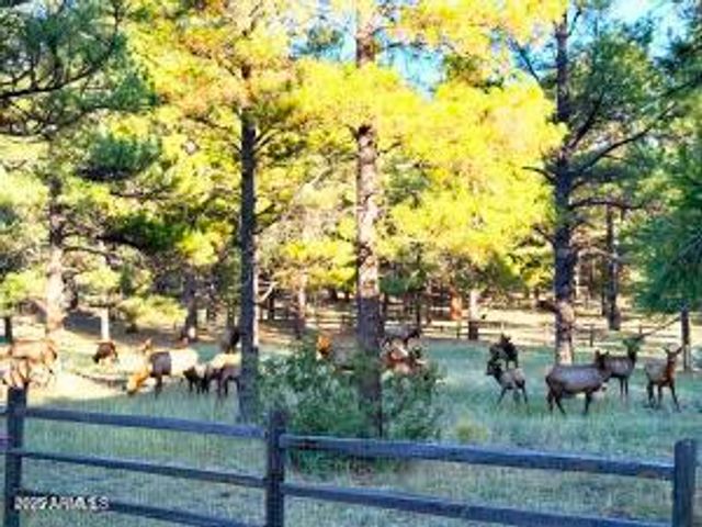 550 E HATTIE GREENE --, Flagstaff, AZ 86001