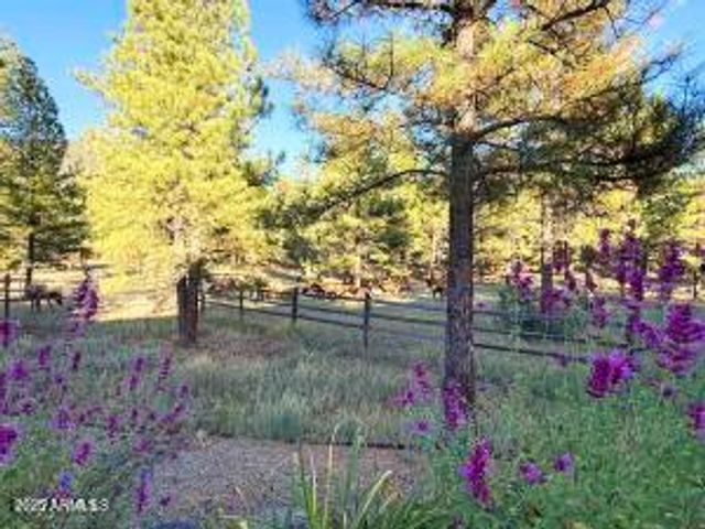 550 E HATTIE GREENE --, Flagstaff, AZ 86001