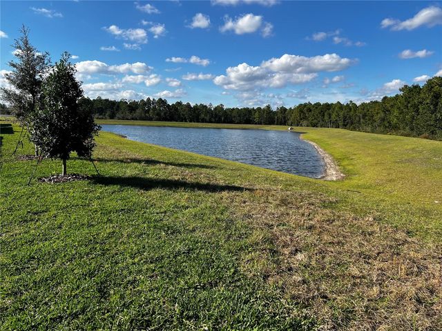 12893 HARVEST RAIN AVENUE, Winter Garden, FL 34787