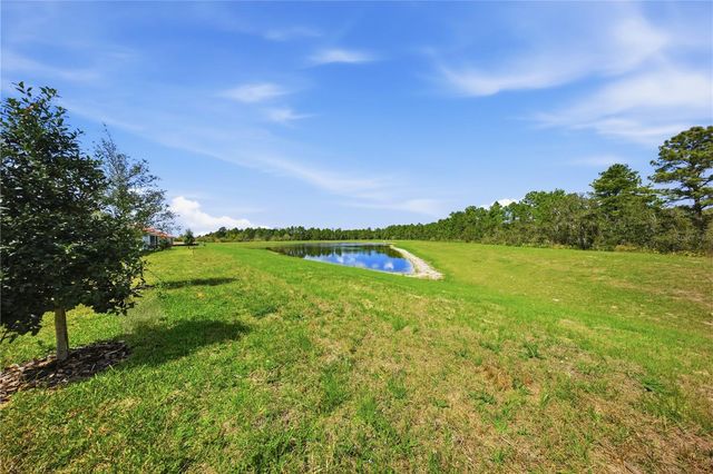 12893 HARVEST RAIN AVENUE, Winter Garden, FL 34787