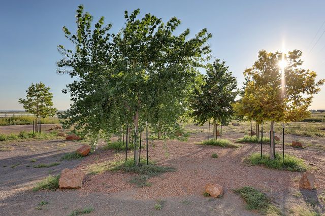 990 Antelope Hills Rd, Marfa, TX 79843