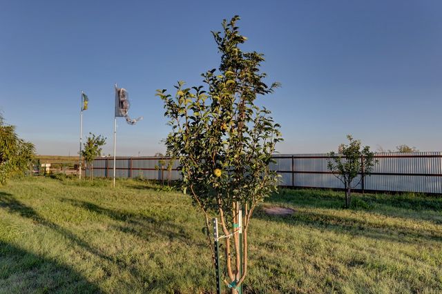 990 Antelope Hills Rd, Marfa, TX 79843