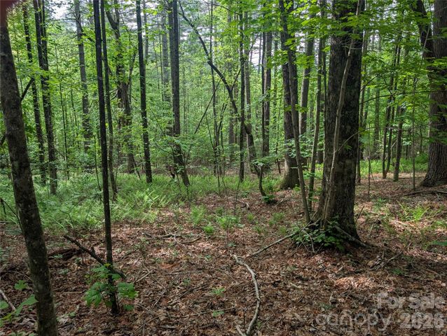 00 Hosta Lane, Hendersonville, NC 28739