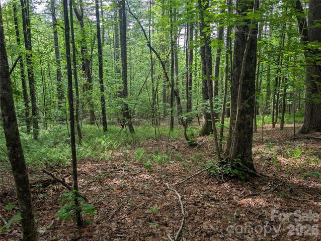 00 Hosta Lane, Hendersonville, NC 28739