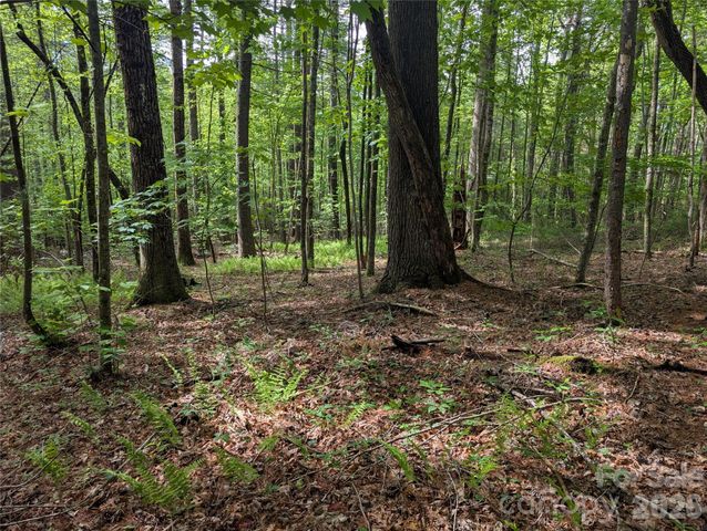 00 Hosta Lane, Hendersonville, NC 28739