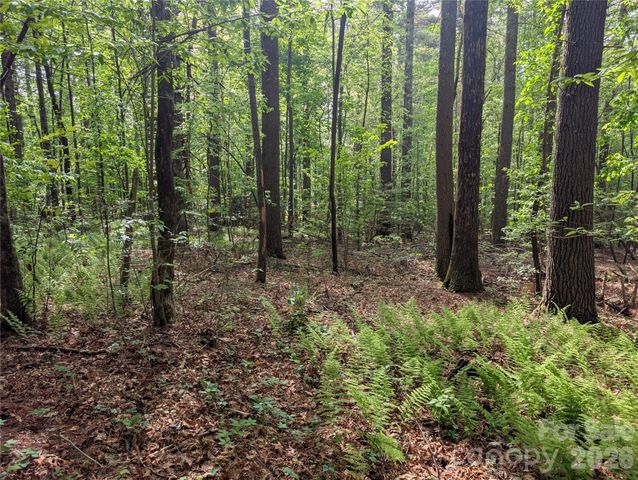 00 Hosta Lane, Hendersonville, NC 28739