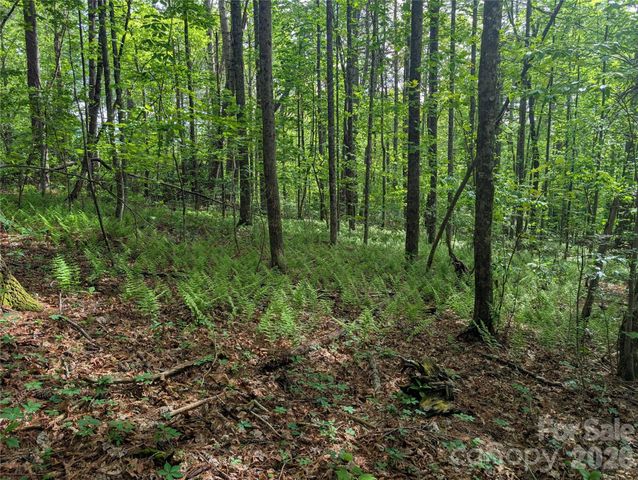 00 Hosta Lane, Hendersonville, NC 28739