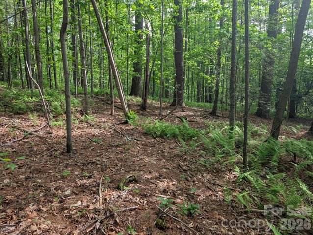 00 Hosta Lane, Hendersonville, NC 28739