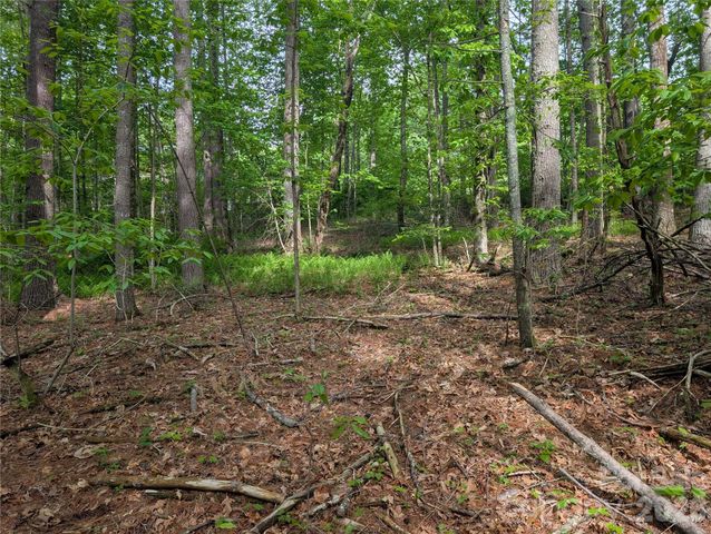 00 Hosta Lane, Hendersonville, NC 28739