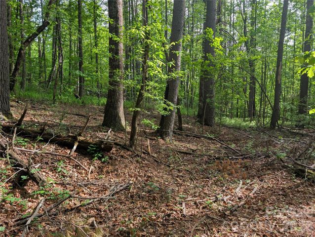 00 Hosta Lane, Hendersonville, NC 28739