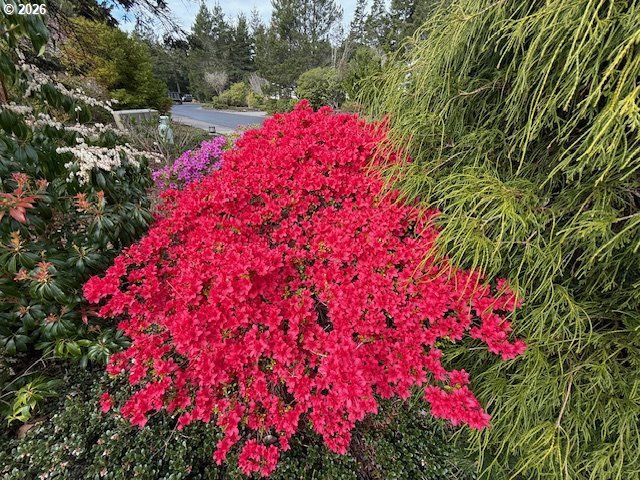 212 MUNSEL CREEK Loop, Florence, OR 97439